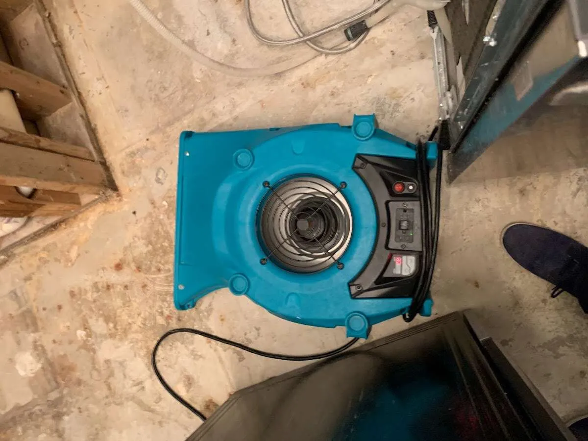 Air mover drying equipment for Mold Remediation & Removal in Hermon
